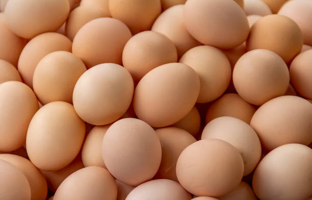 Eggs