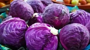 Purple Cabbage