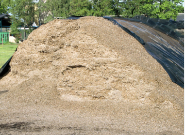 Maize silage