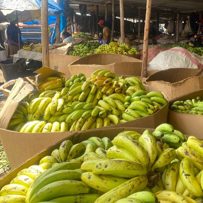 Ripe Bananas
