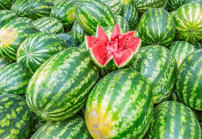 Watermelon