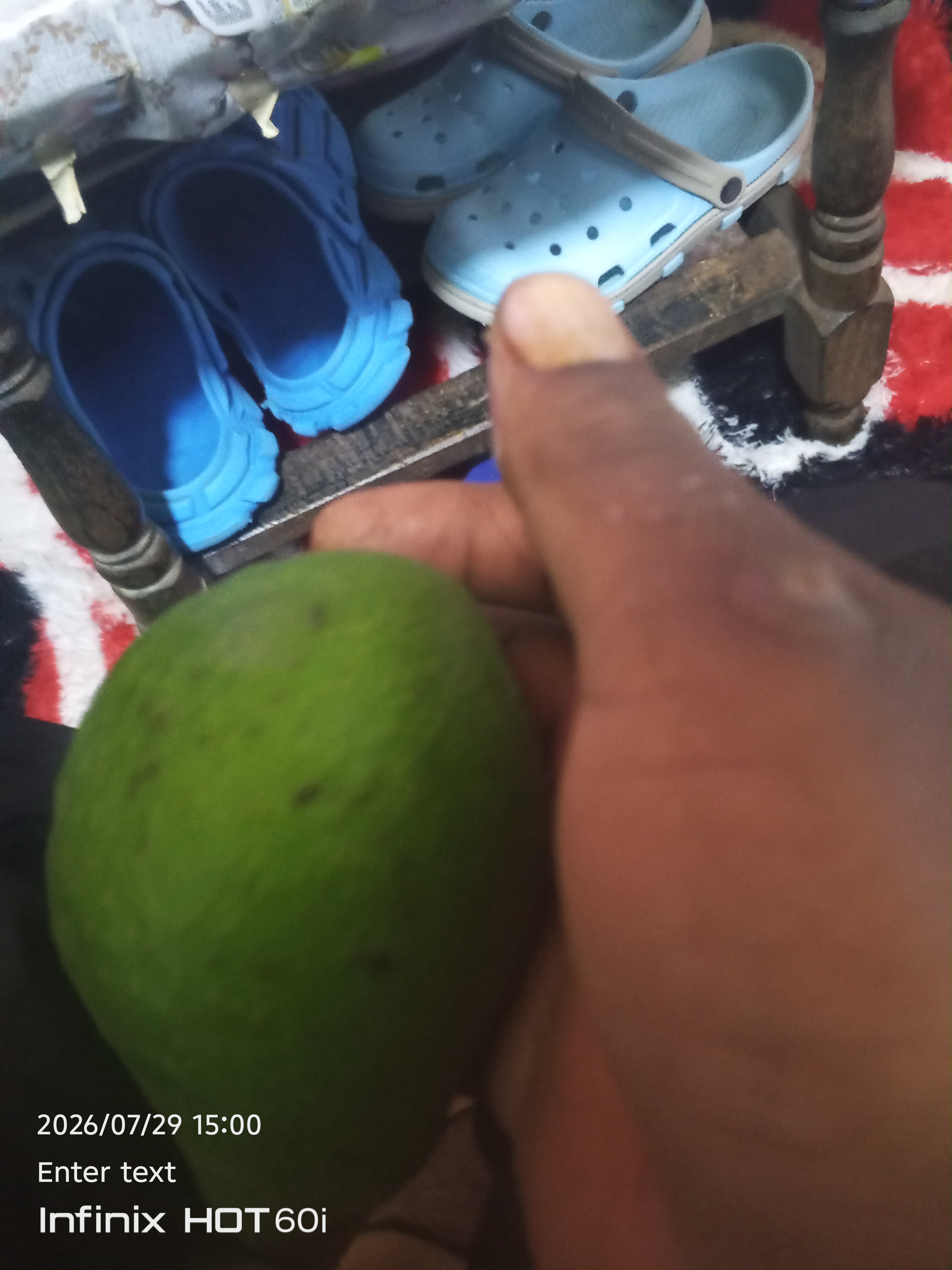 Avocado