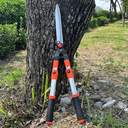 Hedge Shears