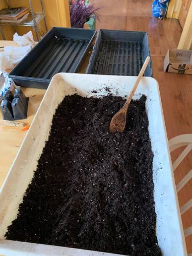 Sphagnum peat moss