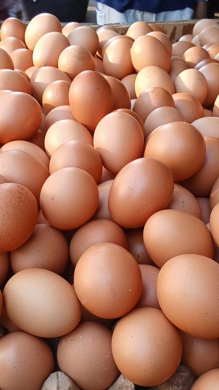 Agricultural Products
